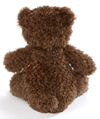 Mended Heart Bear and Book